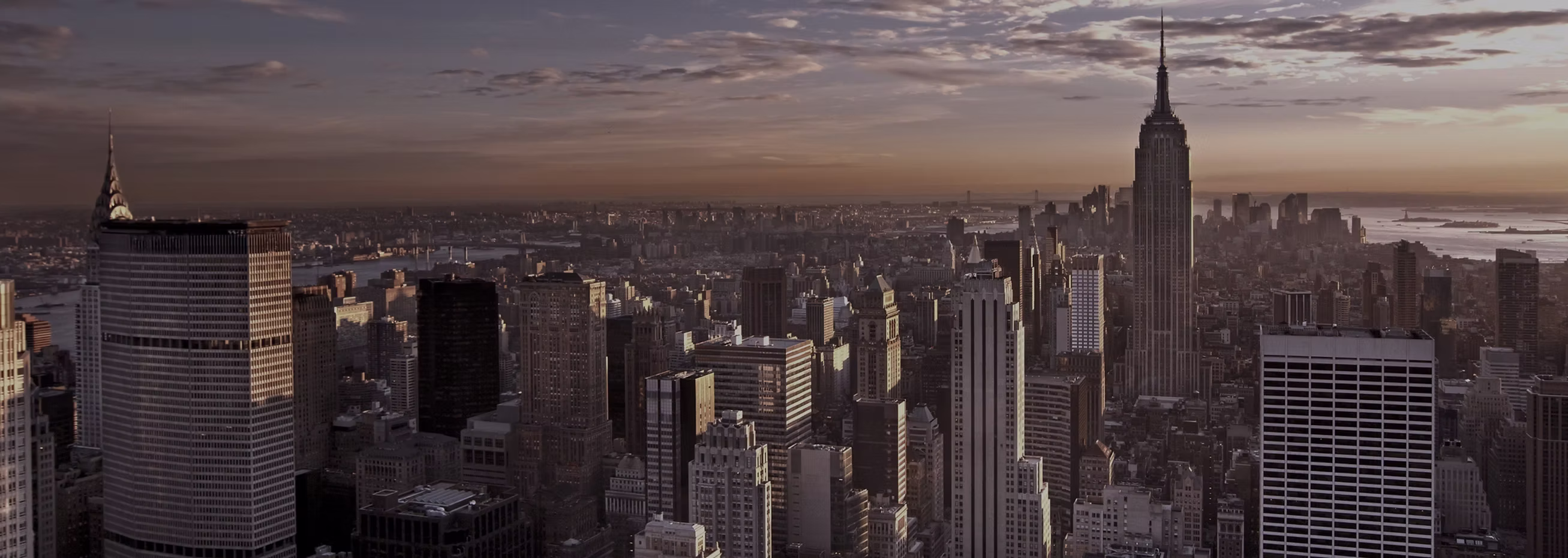 Stern Business Analytics Club Logo